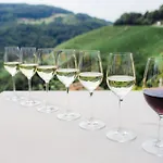 Hotel Kappel Winzer-wellness-hotel Kitzeck im Sausal