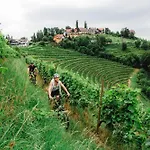 Kappel Winzer-wellness-hotel Hotel