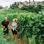 Kappel Winzer-wellness-hotel 4* Kitzeck im Sausal