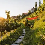 Hotel Kappel Winzer-wellness-hotel 4*