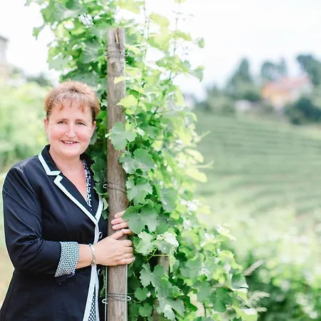 Kappel Wein Gut 4* キツェック・イム・ザウザル