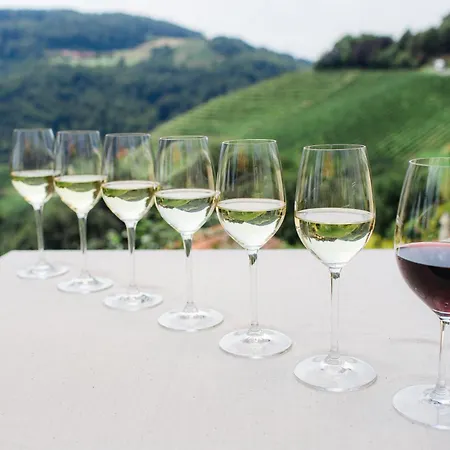 فندق Kappel Wein Gut كيتسك إيم زاوزال