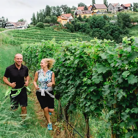 Kappel Wein Gut 4* كيتسك إيم زاوزال