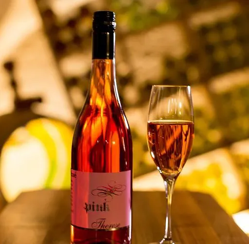 Kappel Wein Gut Kitzeck im Sausal