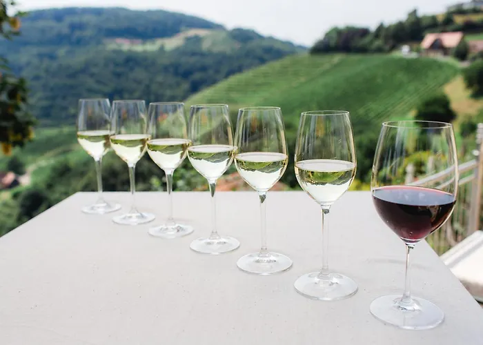 فندق Kappel Wein Gut كيتسك إيم زاوزال