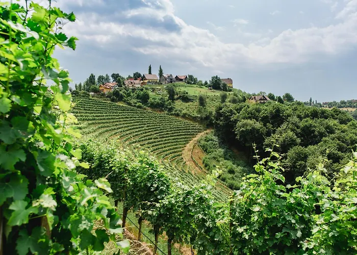 Kappel Wein Gut 绍萨尔地区基策克