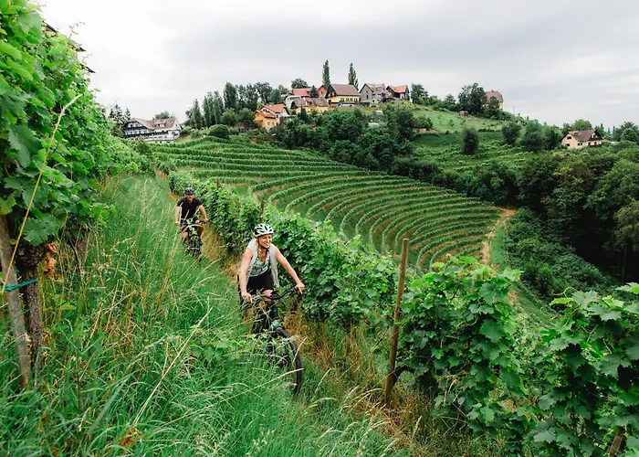 Kappel Wein Gut فندق