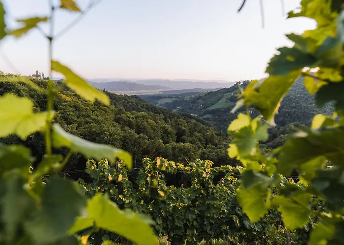 Kappel Wein Gut فندق