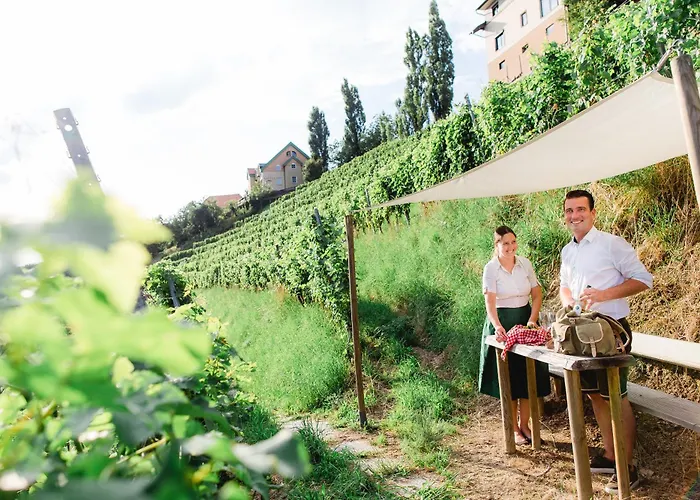 Kappel Wein Gut فندق كيتسك إيم زاوزال