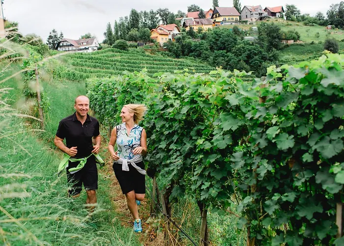 Kappel Wein Gut 4* 绍萨尔地区基策克